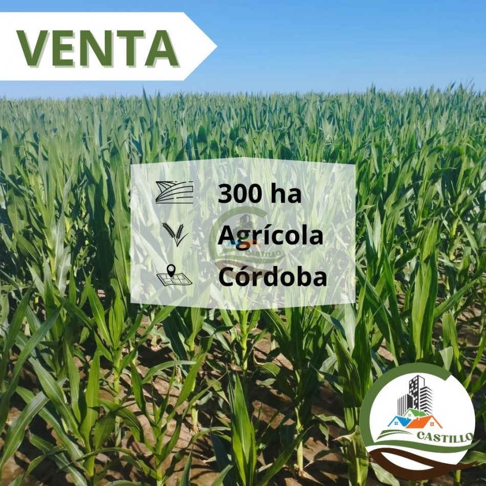 313 ha Agricolas - Chajan - Cordoba