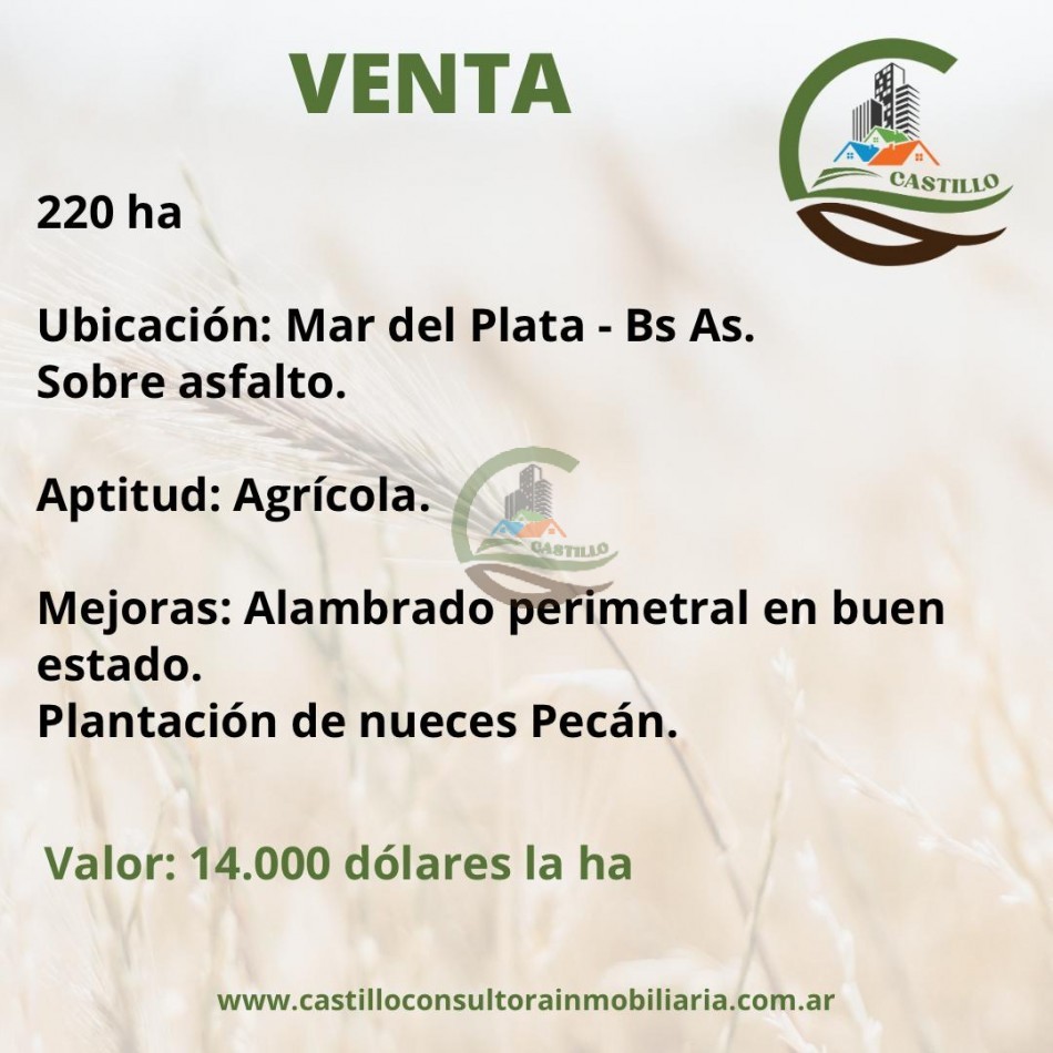 220 ha agricolas - mar del plata