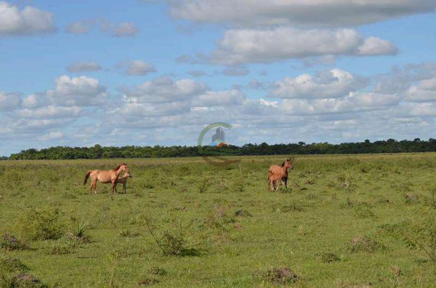 4168 Ha Mixto - San Luis del Palmar - Corrientes