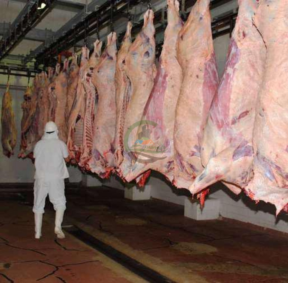Frigorifico - con feedlot- Exportadora - La Adela - La Pampa