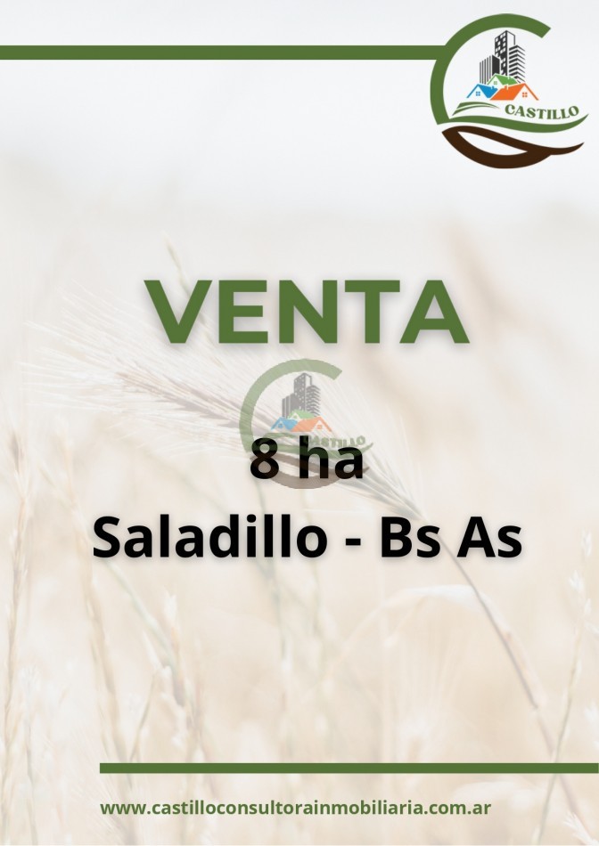 8 ha mixtas - Saladillo