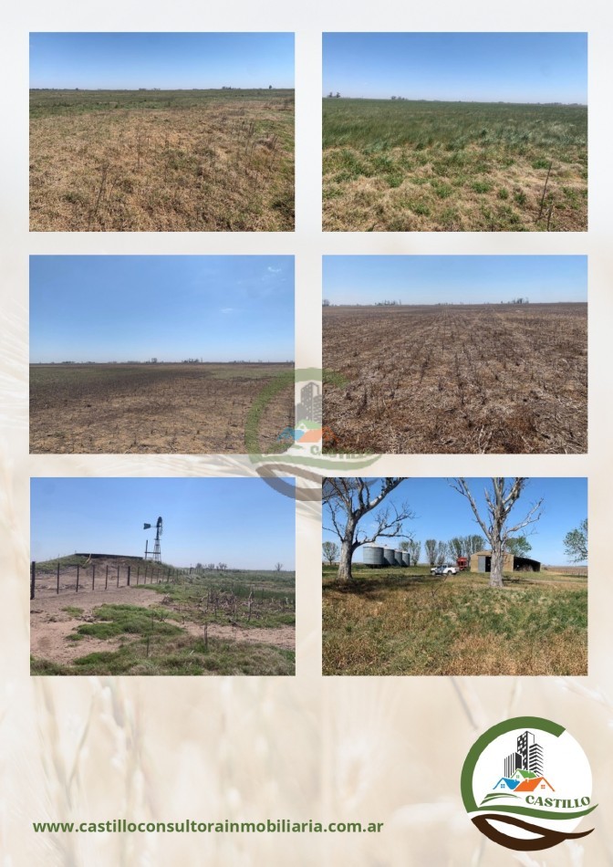 500 ha mixto - lincoln