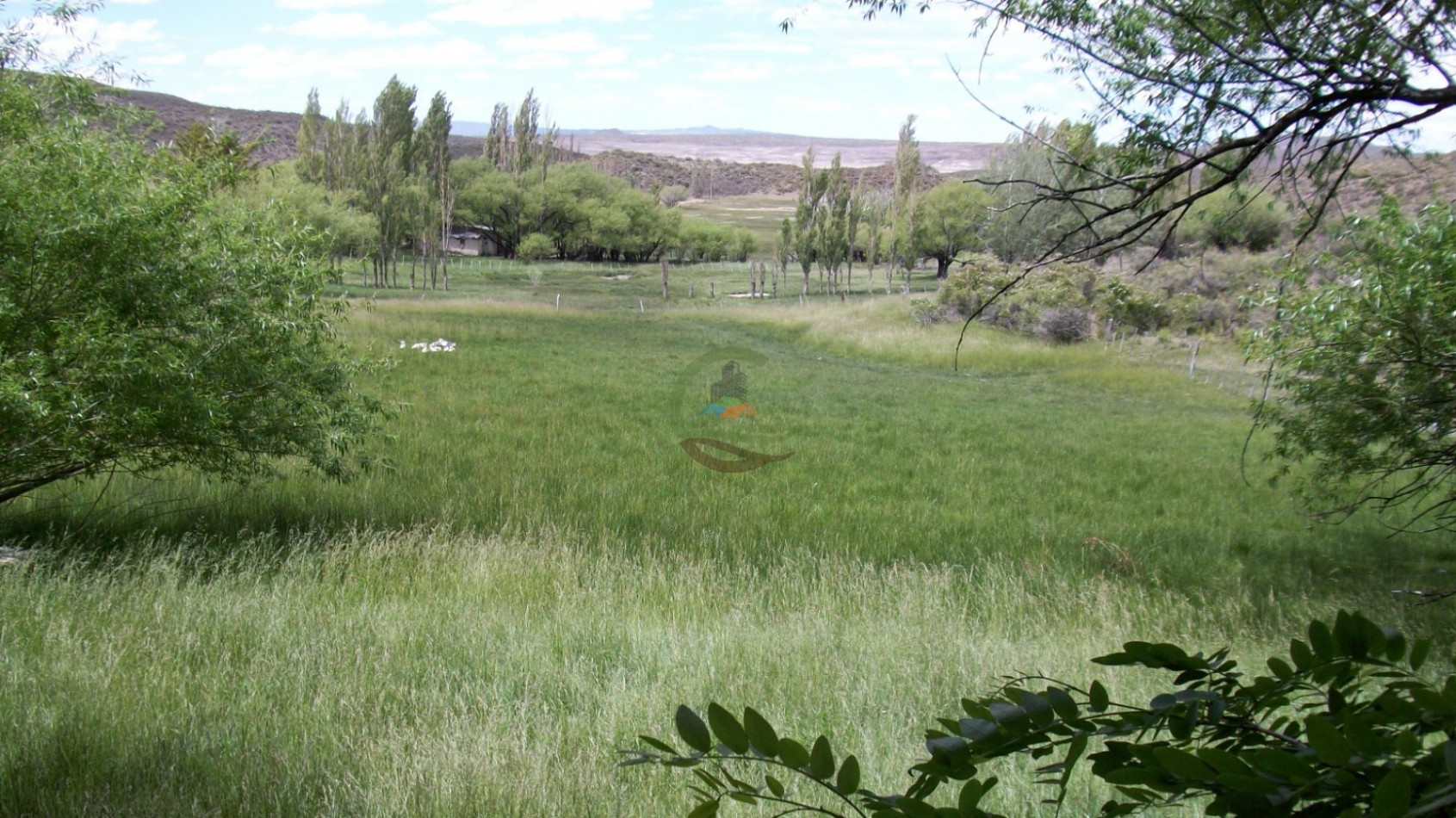 50000 ha Ganadero - Santa Cruz
