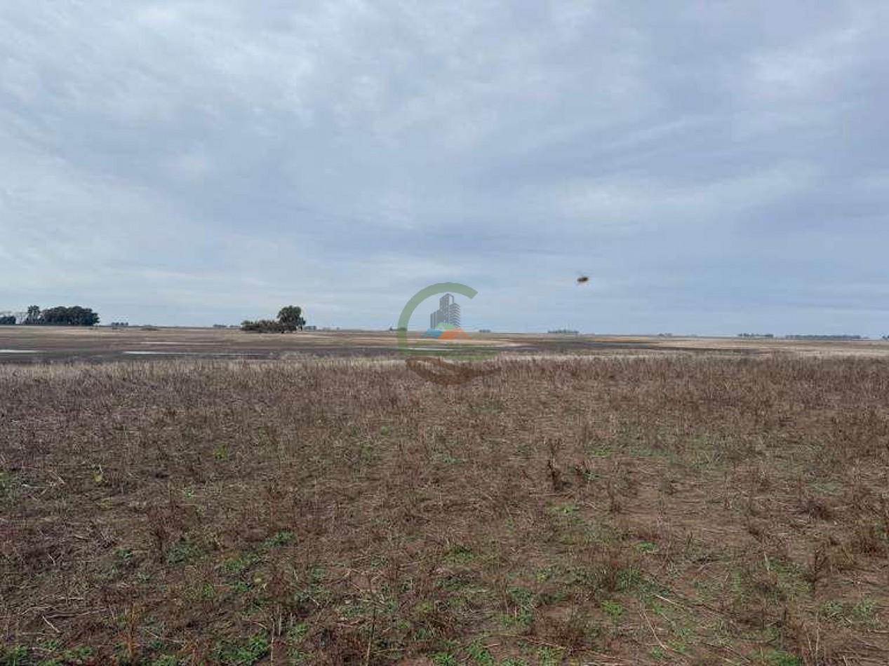 639 Ha Mixto - Urdampilleta - Bolivar
