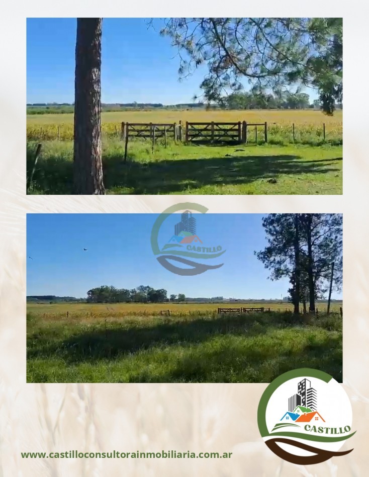 137 ha agricolas - Gualeguaychu