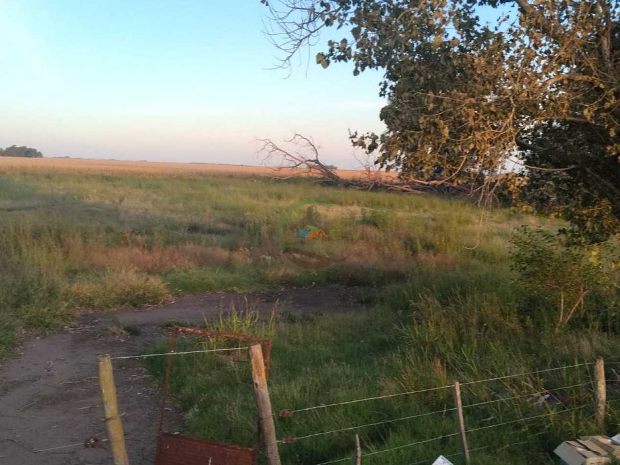 280 Ha Agricolas - General Alvear