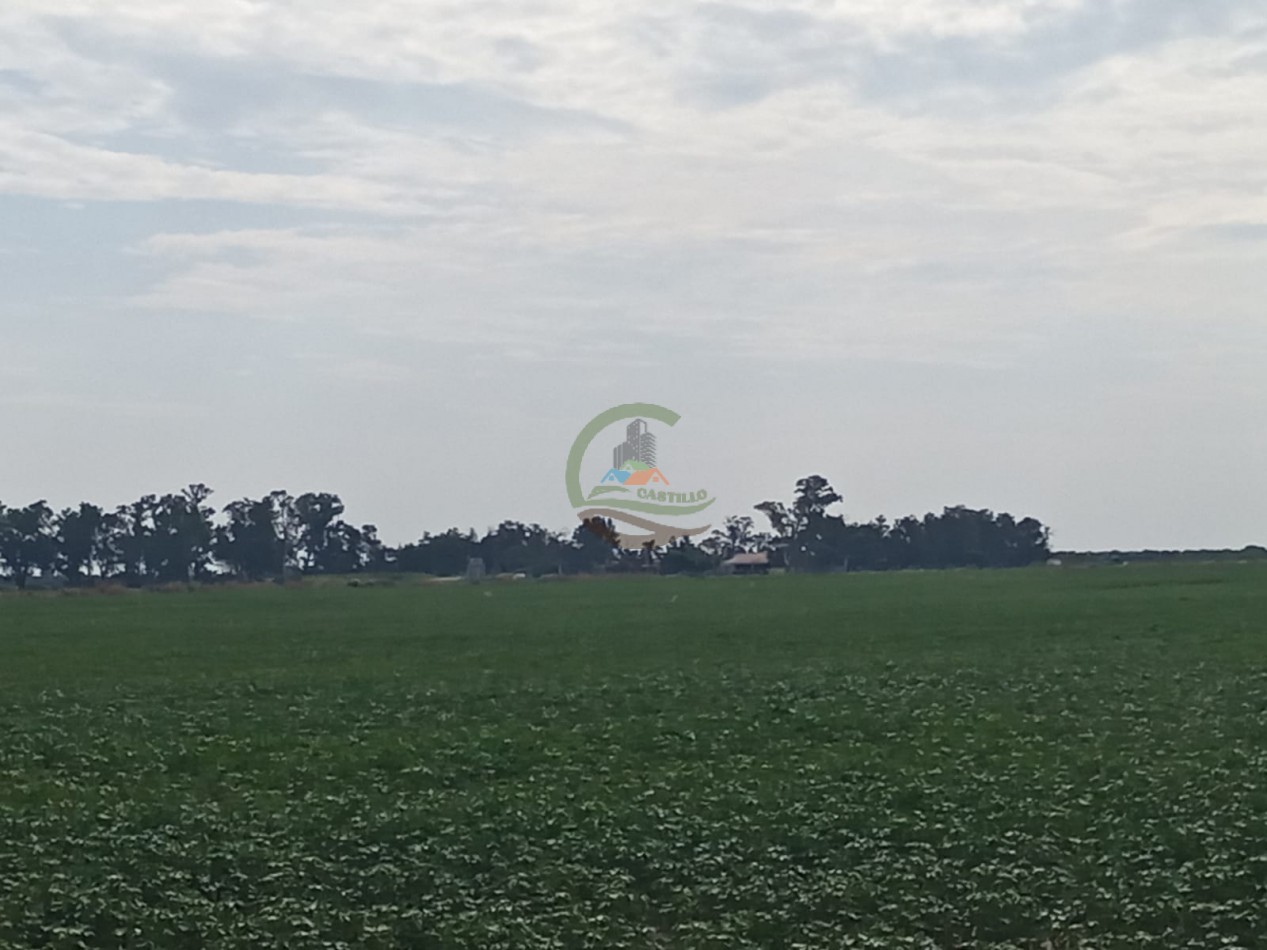 360 Ha Agricolas - Tostado - Santa Fe 