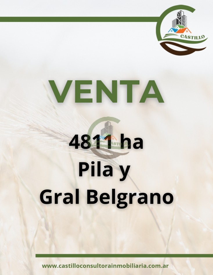 4811 ha ganandero - pila