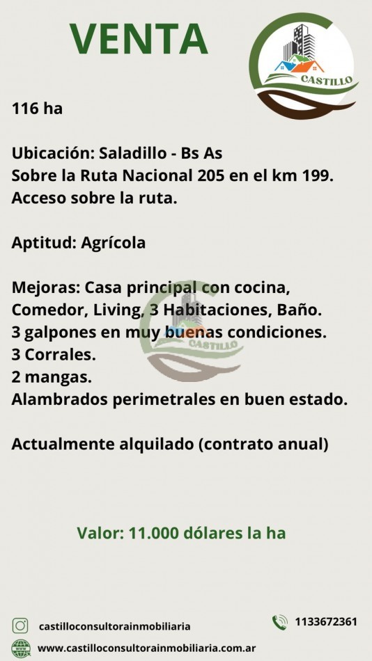116 ha Agricola - Saladillo
