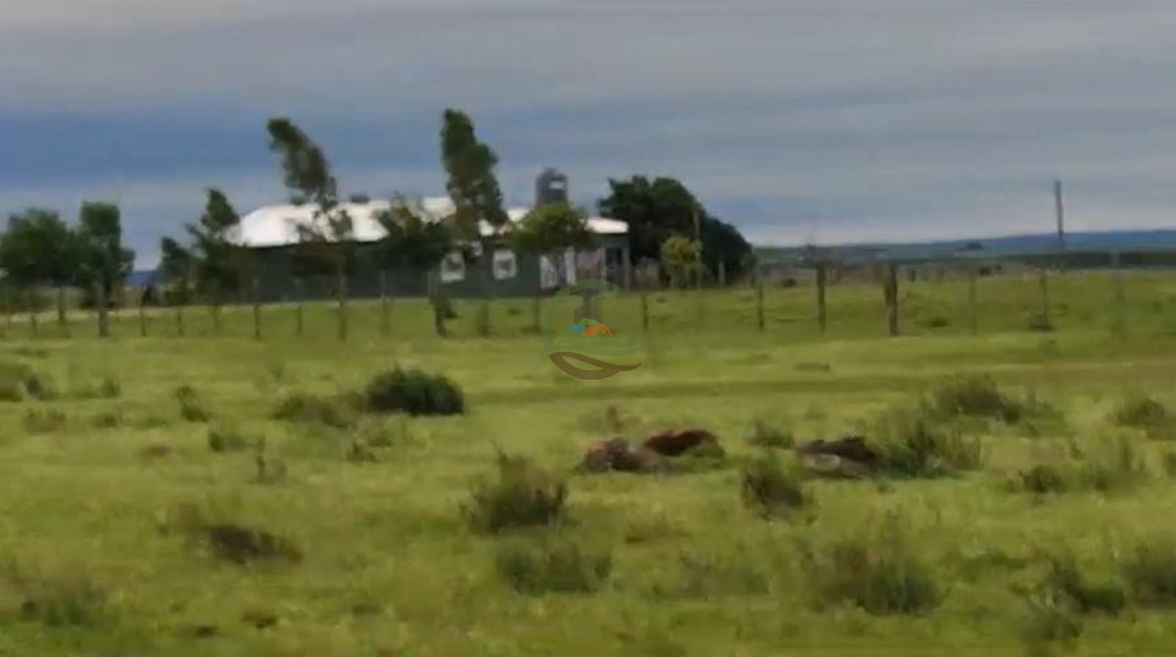 1100 Ha Ganaderas - Tacuarembo - Uruguay 