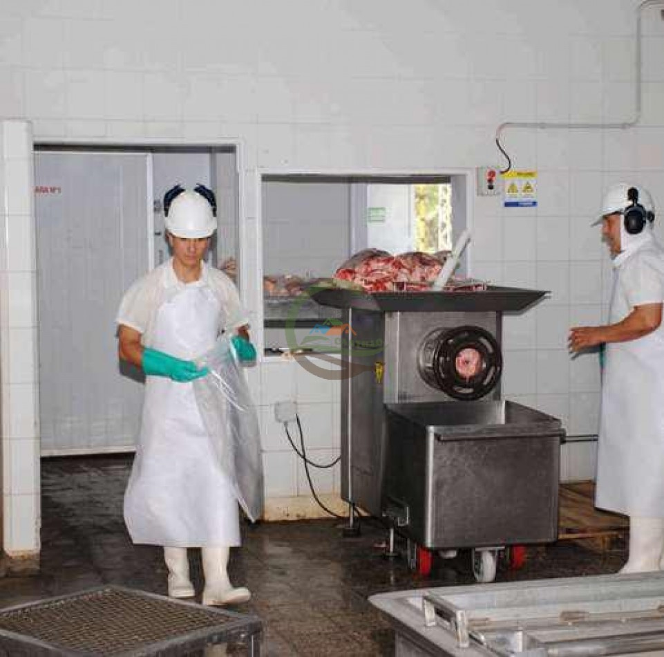 Frigorifico - con feedlot- Exportadora - La Adela - La Pampa