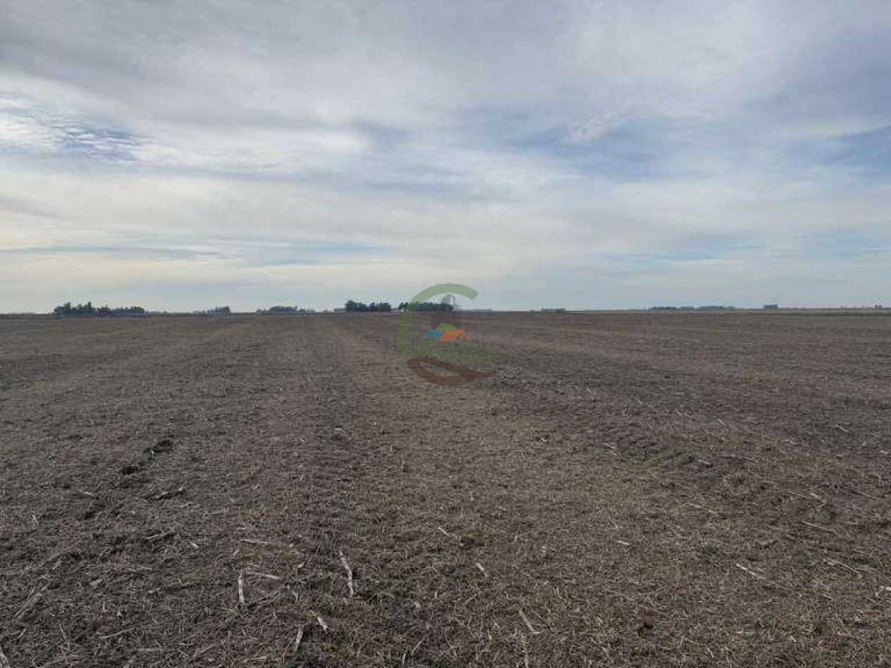 639 Ha Mixto - Urdampilleta - Bolivar