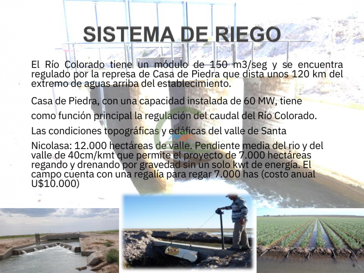 74000 ha Mixtas - Rio Colarado