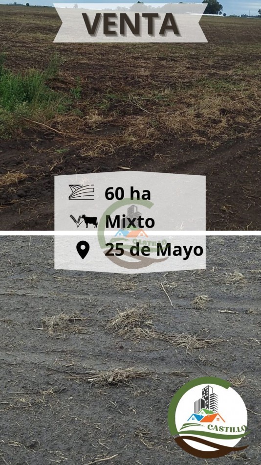 60,5 ha Mixto - 25 de Mayo