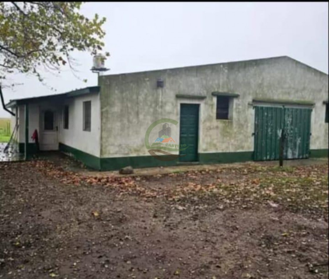 920 Ha Ganadero - Pila - Alquiler