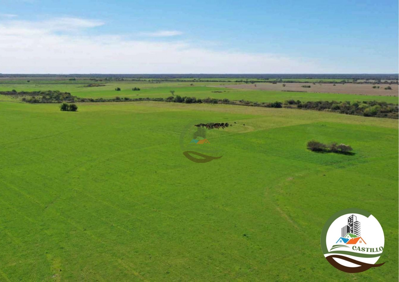 2658 ha Mixto - Entre Rios