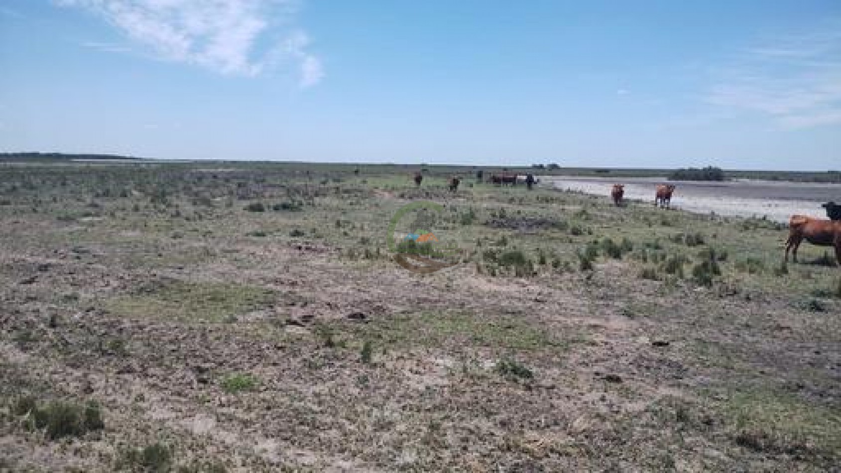 1900 Ha Mixto - Laboulaye - Cordoba