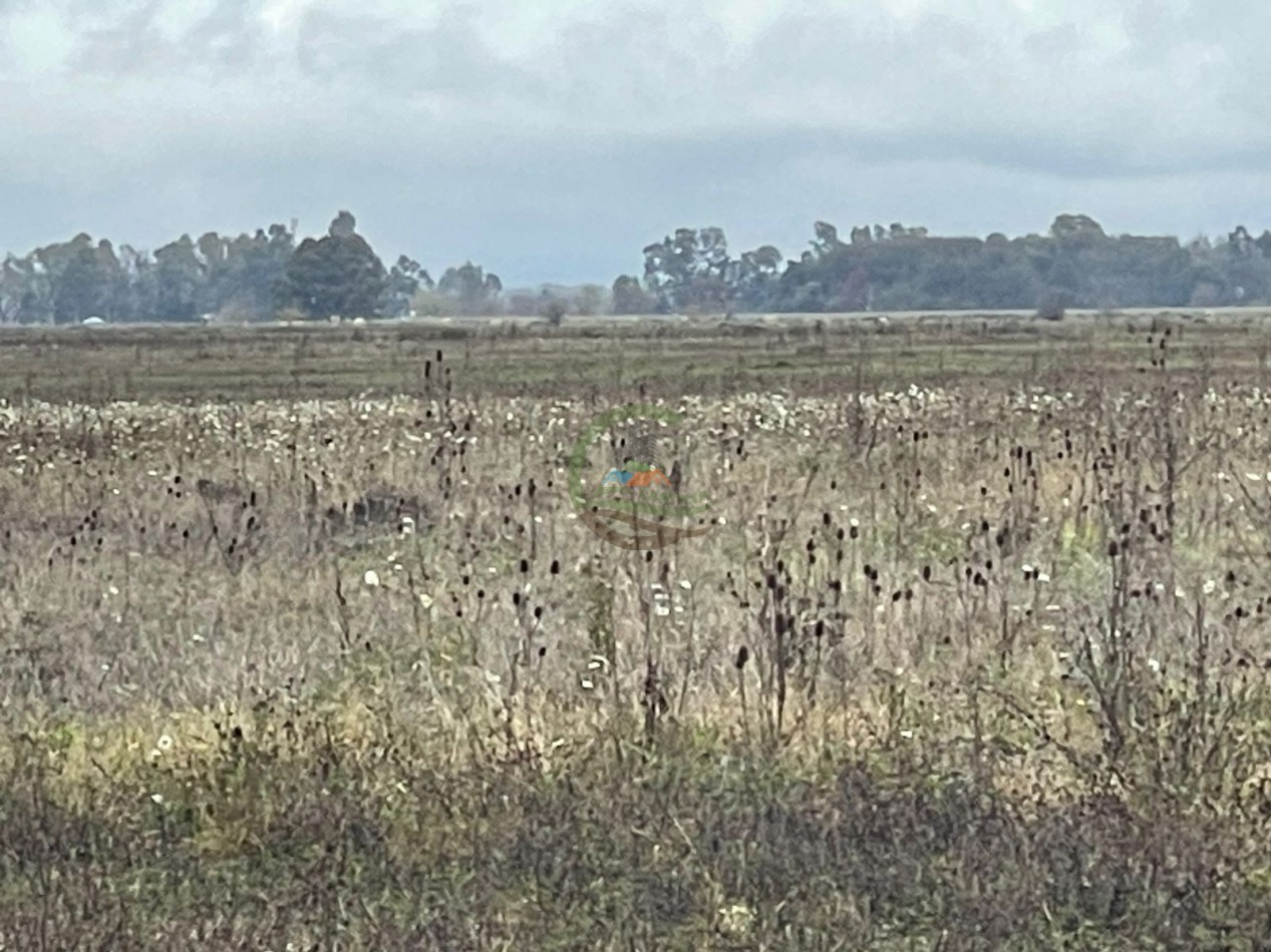 47 ha Ganadera - Olavarria