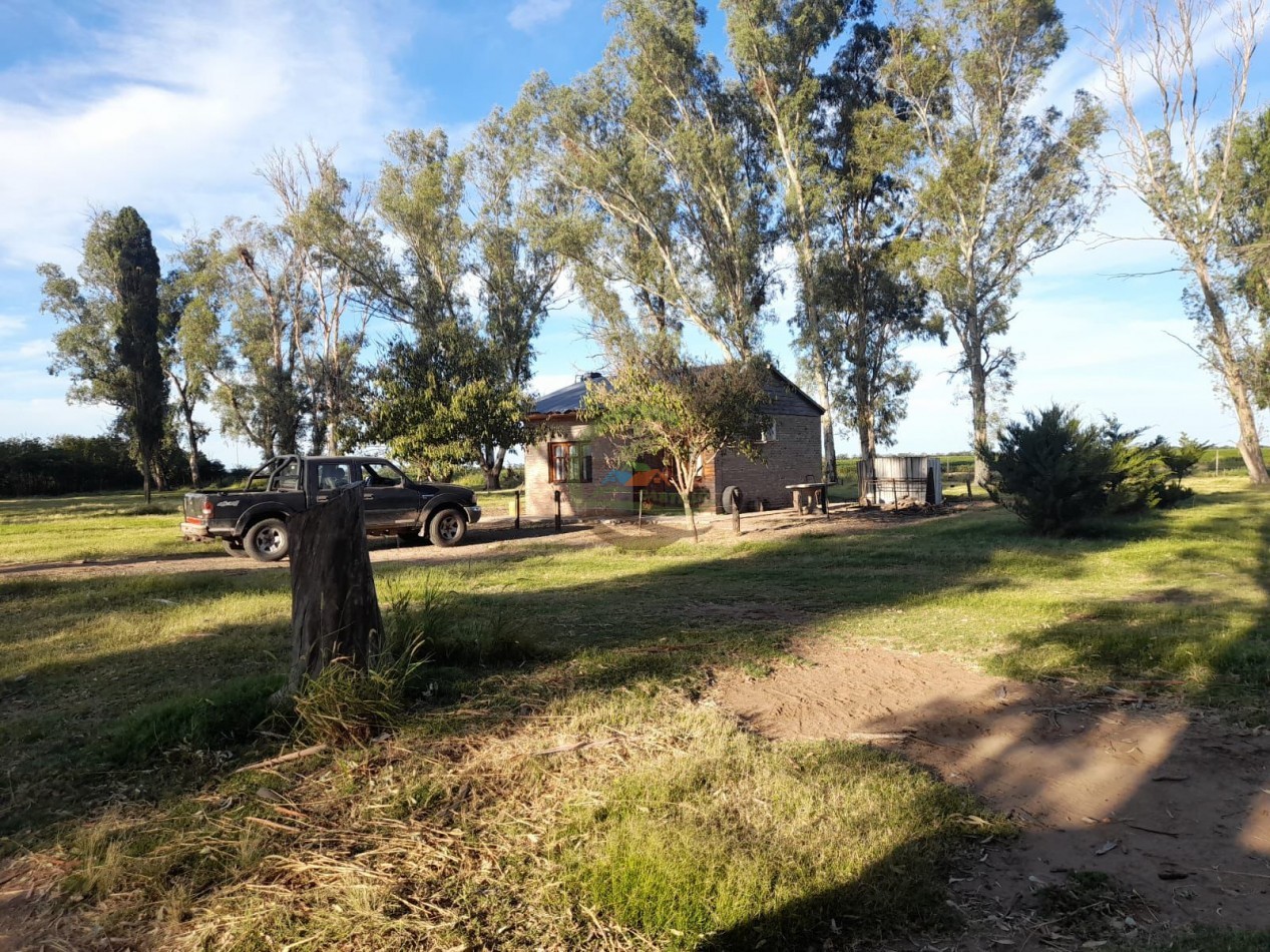2200 Ha Agricolas - Laboulaye - Cordoba