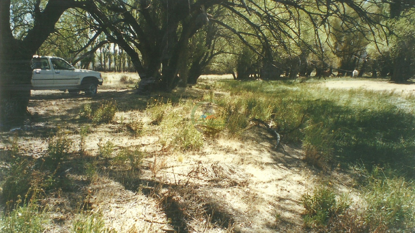 50000 ha Ganadero - Santa Cruz