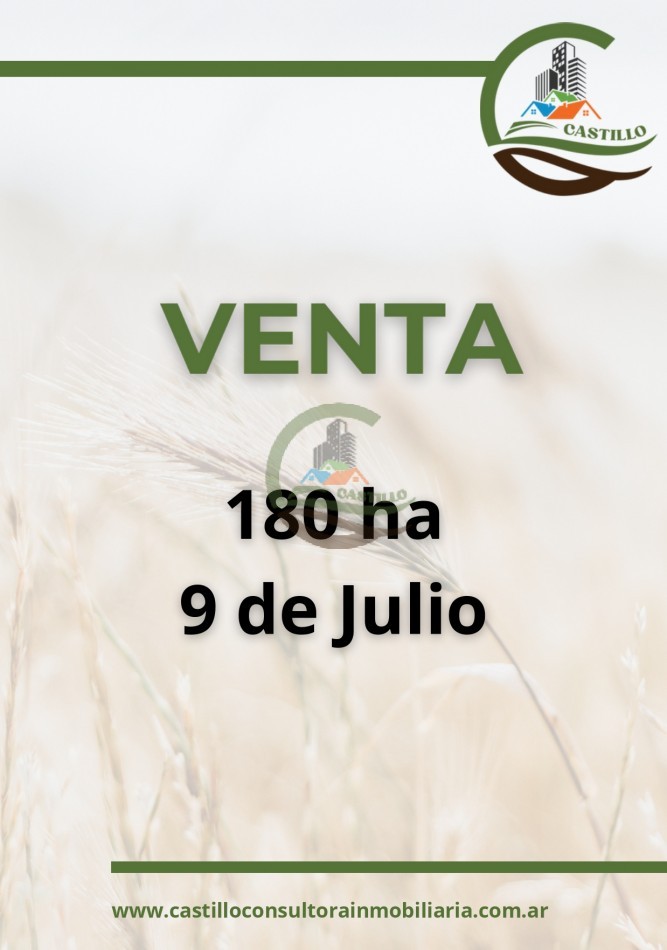180 ha mixtas - 9 de julio