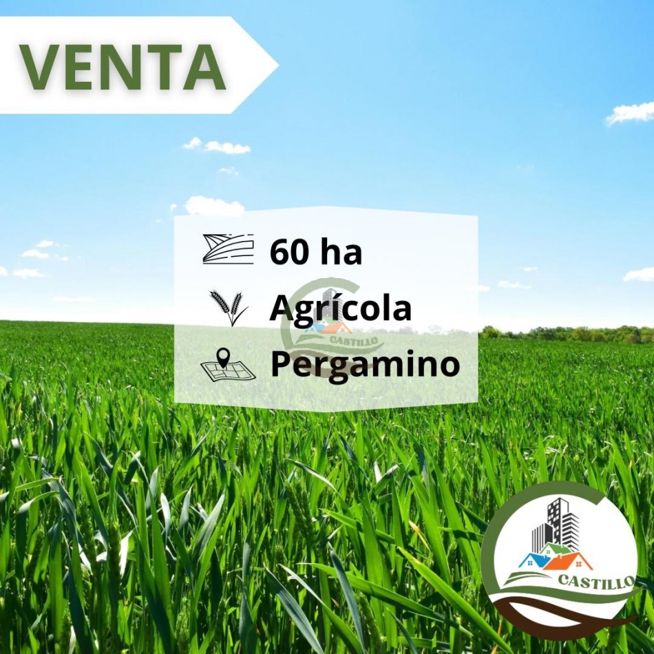63 ha agricolas - pergamino