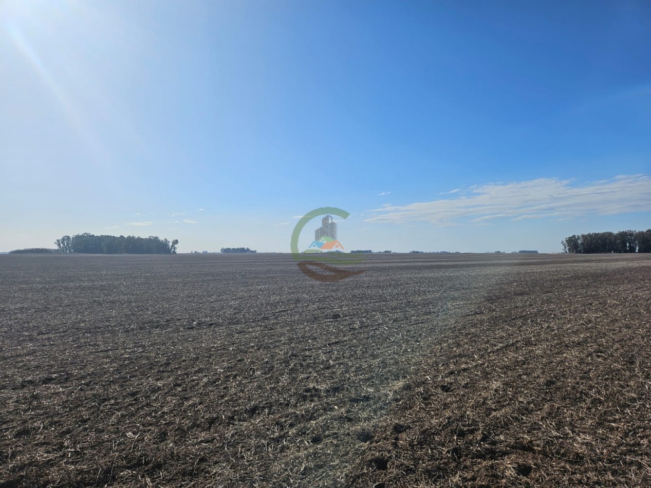 797 ha Agricolas - Bolivar