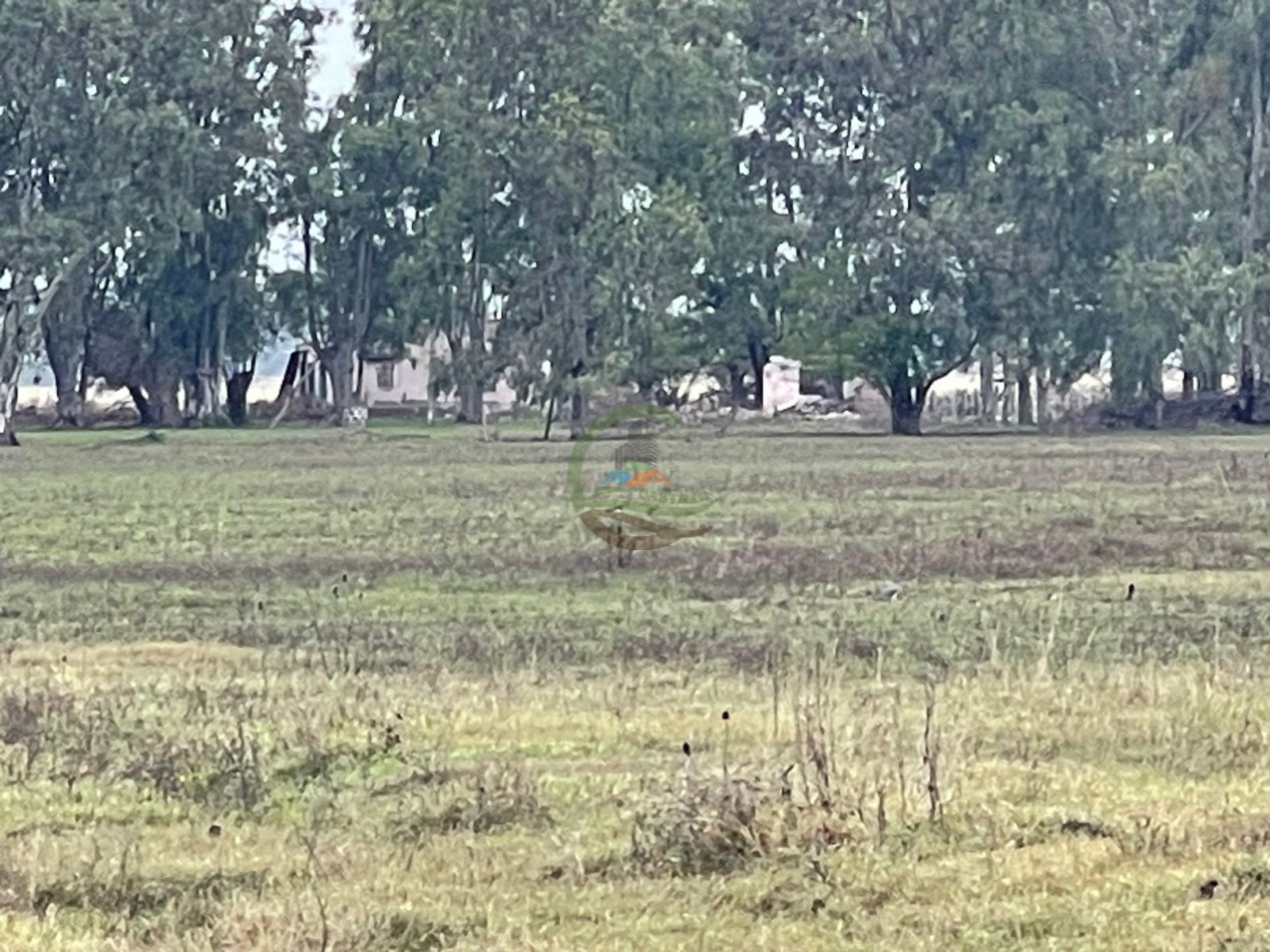 47 ha Ganadera - Olavarria