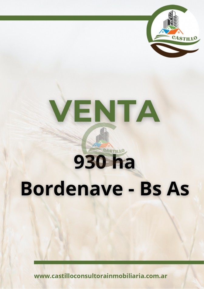930 ha agricolas - bordenave