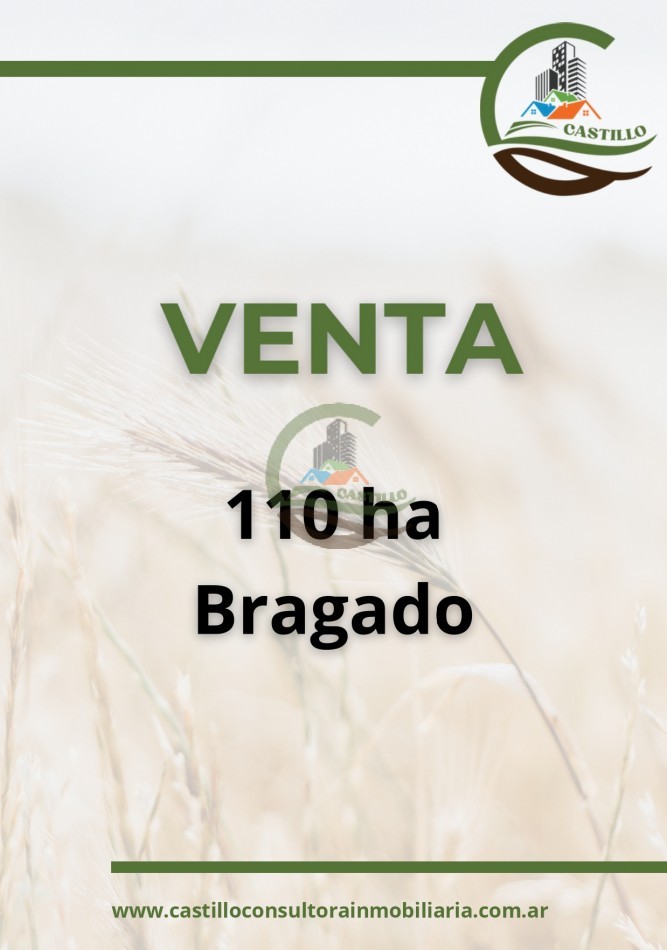 110 ha mixtas - bragado