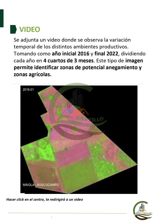 315 ha Mixto - Balcarce