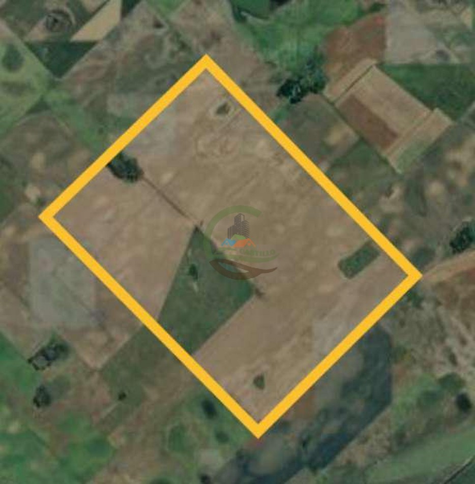 639 Ha Mixto - Urdampilleta - Bolivar