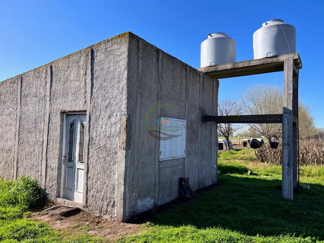 3 ha agricolas - polvaredas