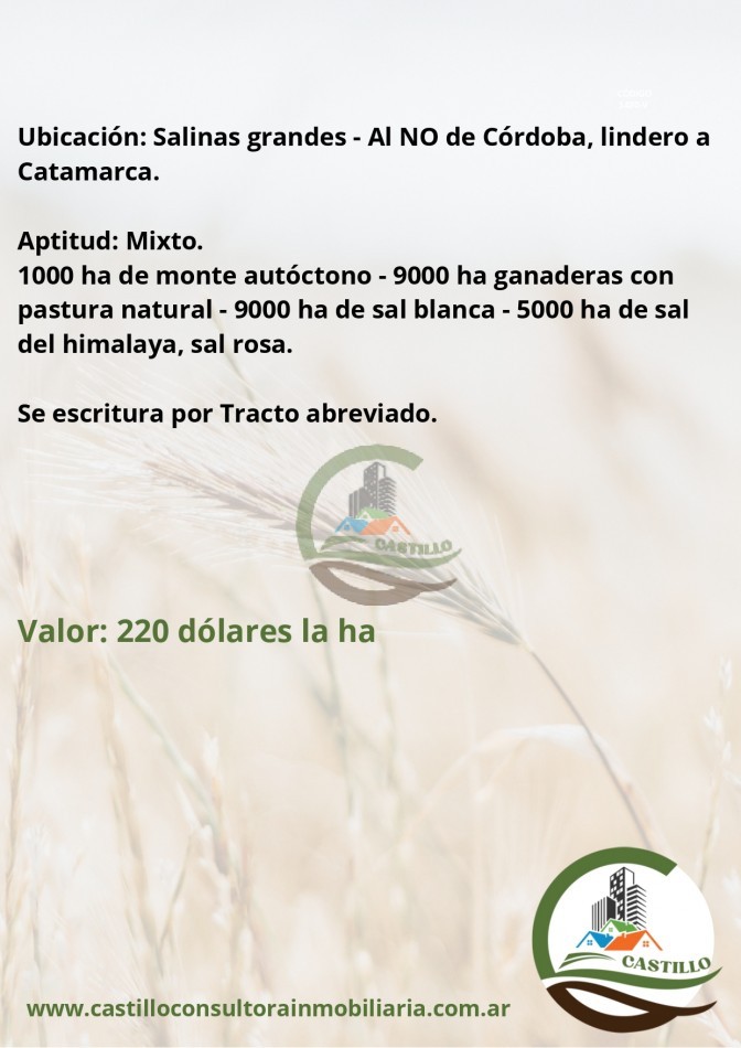 24000 ha mixtas - cordoba 