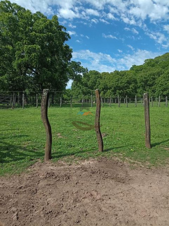 6000 Ha Mixtas - Anta - Salta