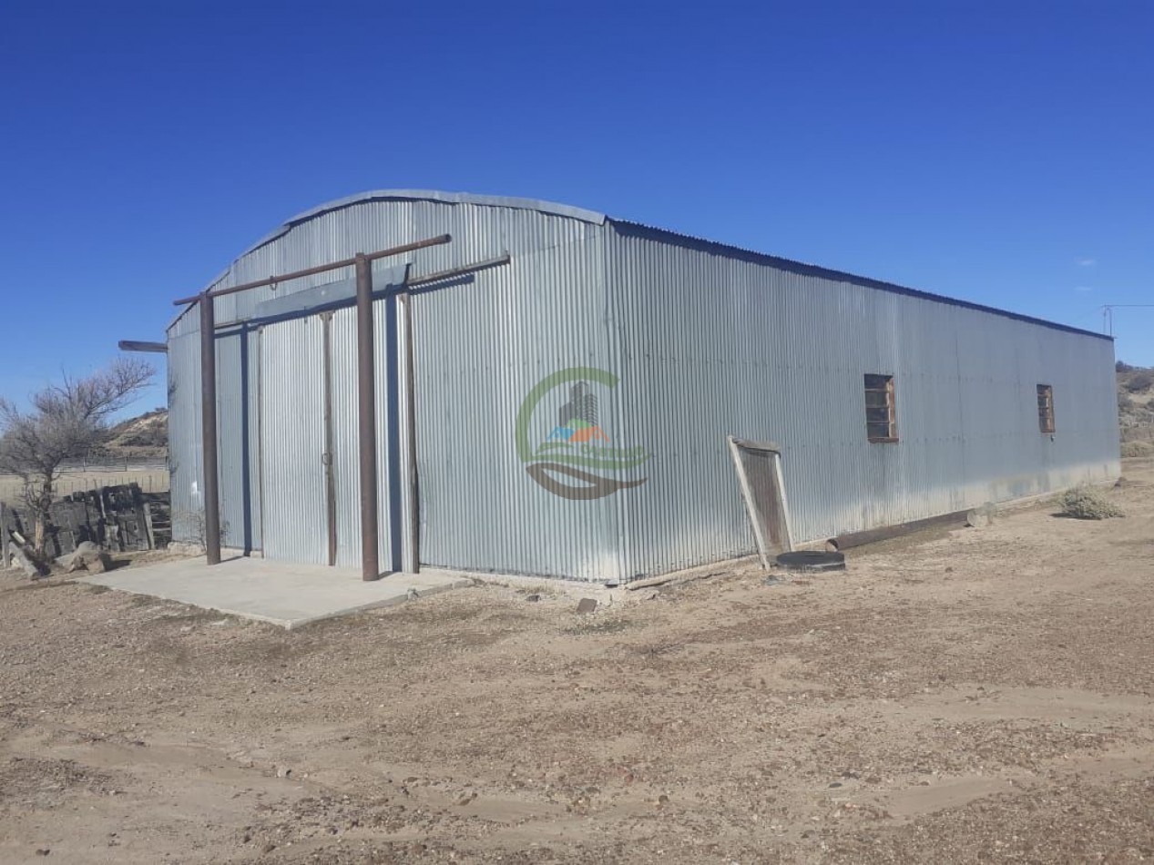 59000 ha Ganadero - Chubut