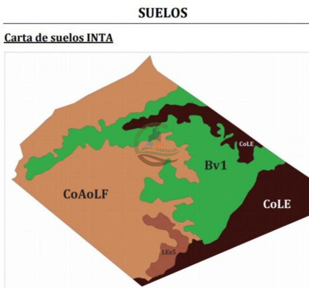 5382,89 Ha Mixtas - Tapalque