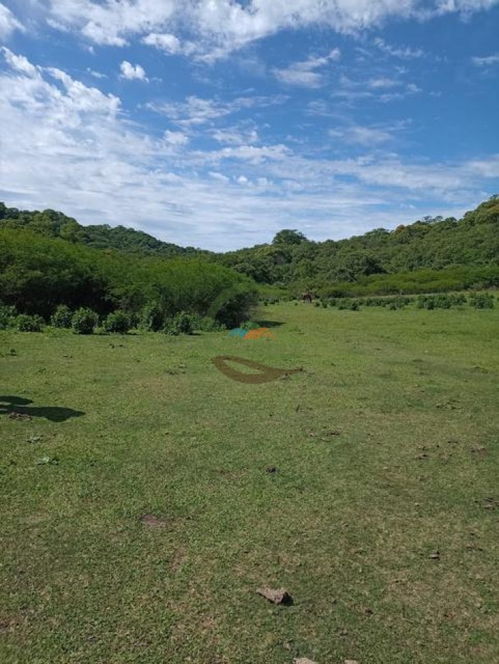 6000 Ha Mixtas - Anta - Salta