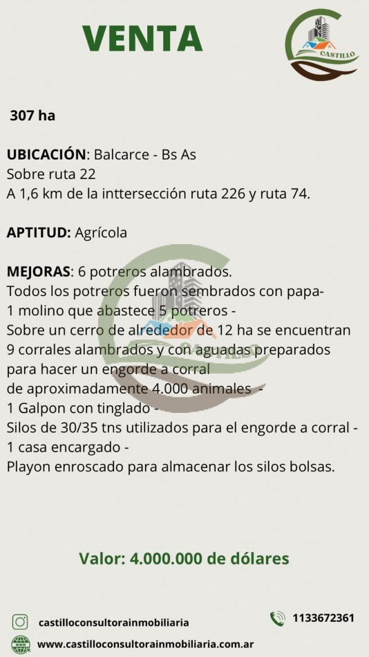 307 ha Agricolas - Balcarce