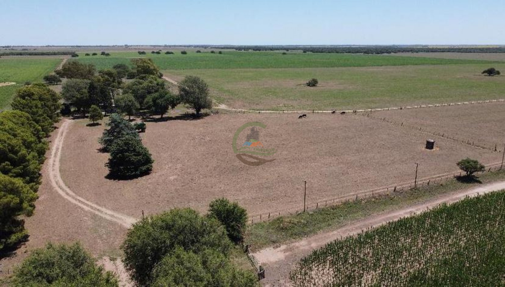 137 Ha Mixto - Santa Rosa - La Pampa