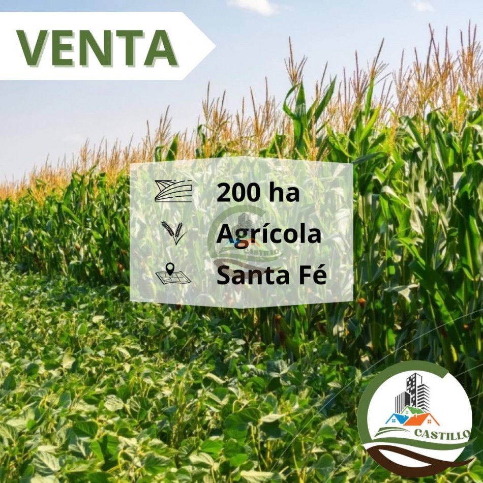 203 ha Agricolas - Santa Fe