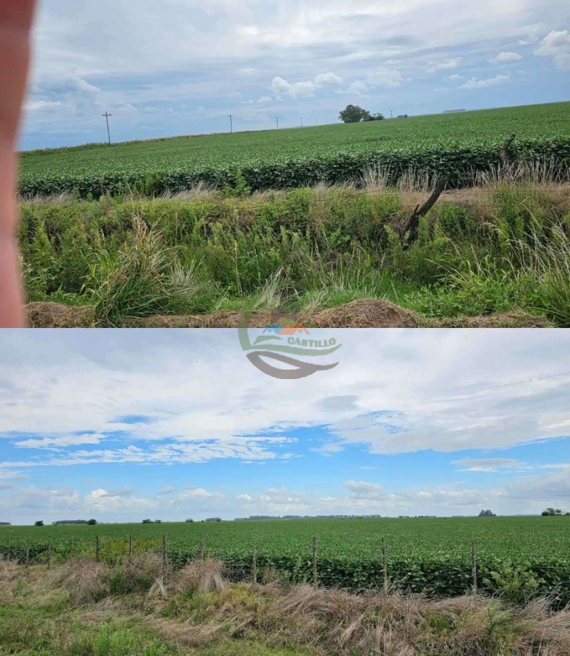 192 Ha Agricolas - General Pinto