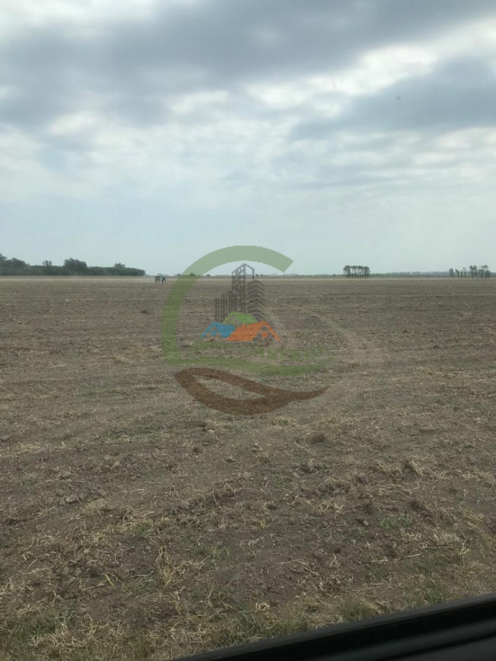 177 ha Mixtas - Pergamino 