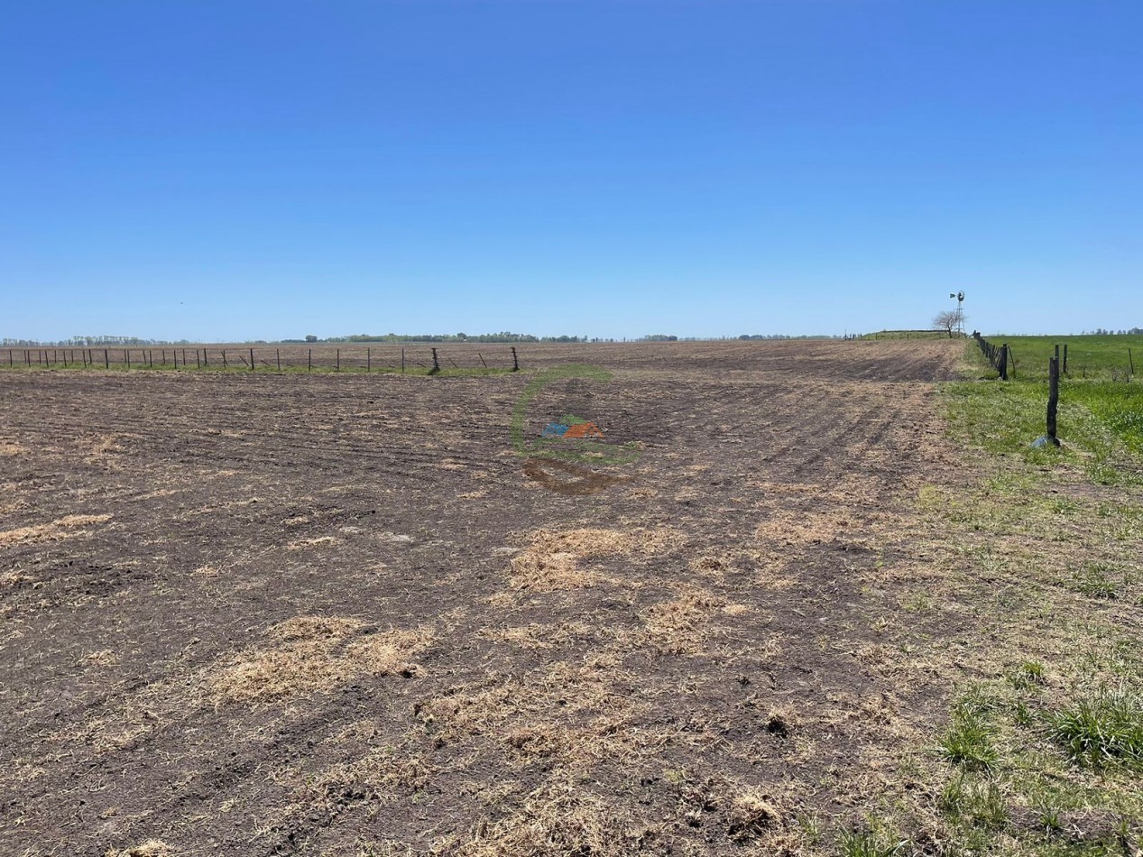 102 ha Agricolas - 25 de Mayo 