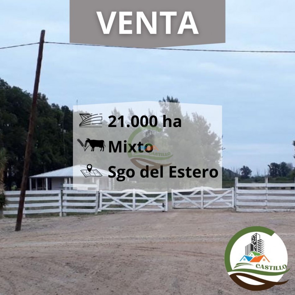 21000 ha mixto santiago del estero