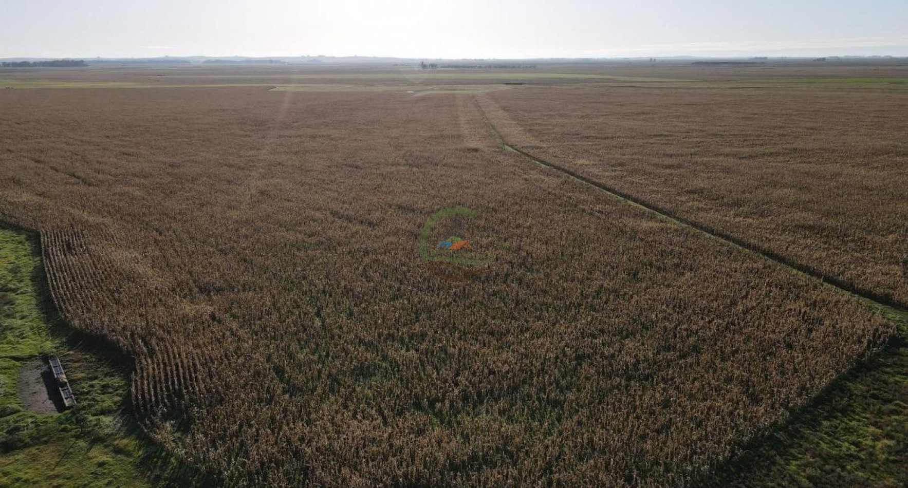 1437 Ha Mixta - Olavarria