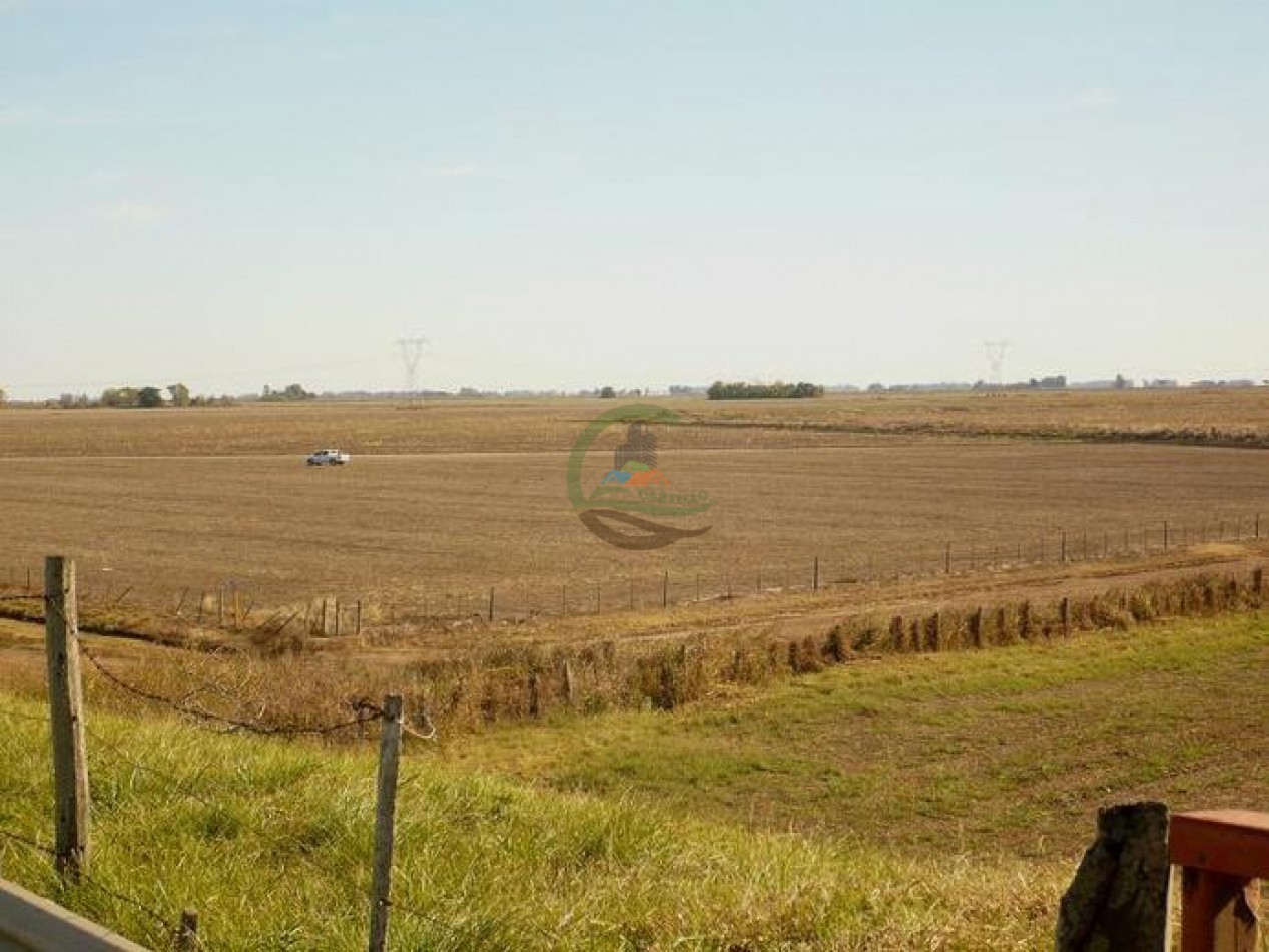 830 ha - Agricolas - Santa fe