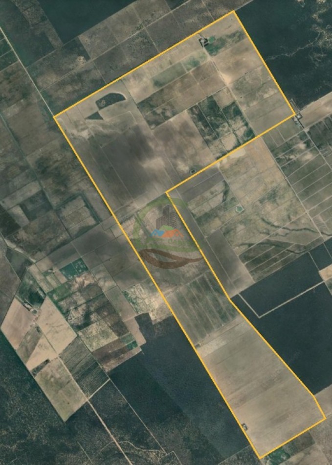 1300 Ha Agricolas - Fernandez - Santiago del Estero