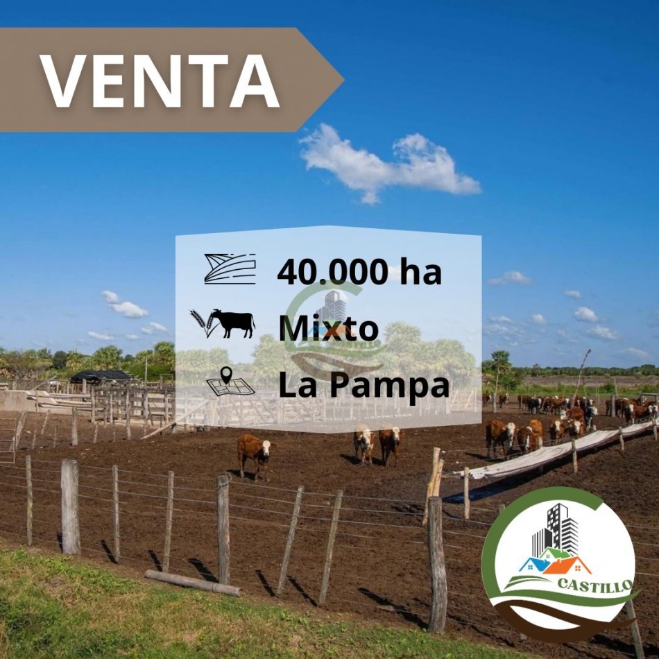 42500 ha mixto - La Pampa