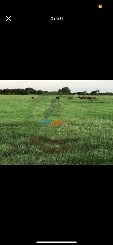 43000 ha MIxtos - Formosa